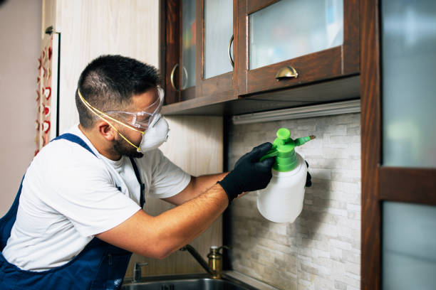 Best Residential Pest Control  in Somers, WI