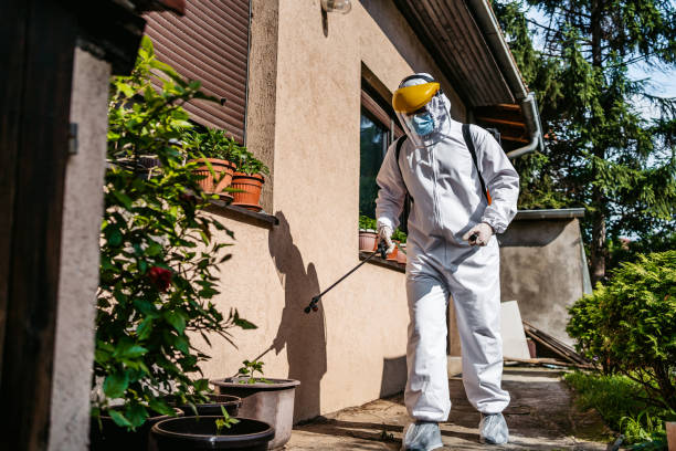 Best Mosquito Control Services  in Somers, WI