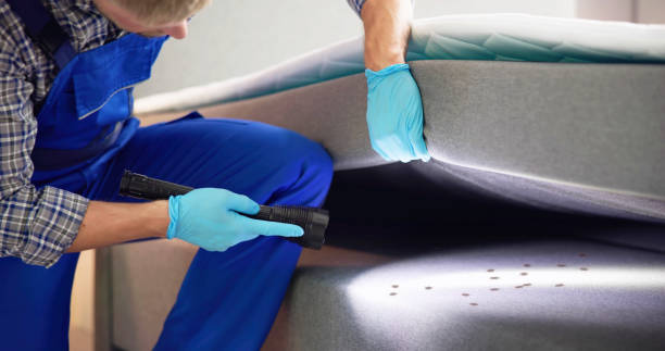 Best Pest Inspection Near Me  in Somers, WI