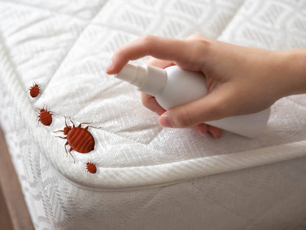 Best Insect Control  in Somers, WI
