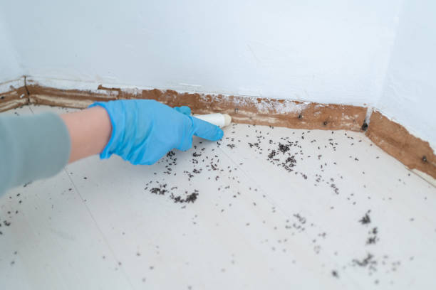 Best Commercial Pest Control Services  in Somers, WI