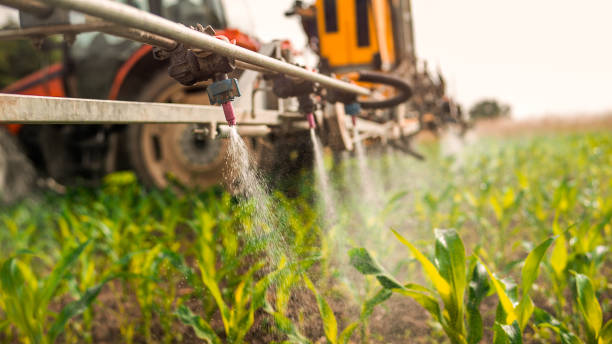 Pest Prevention Services in Somers, WI